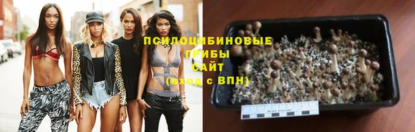 твердый Бородино