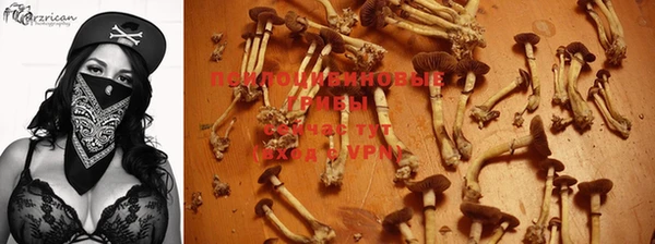 прущие крисы Богородск