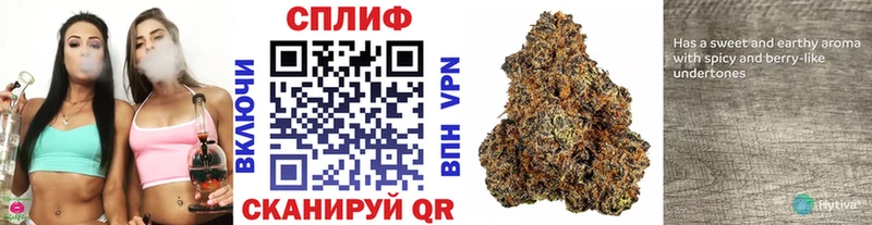 мориарти как зайти  Верхнеуральск  Бошки марихуана VHQ 